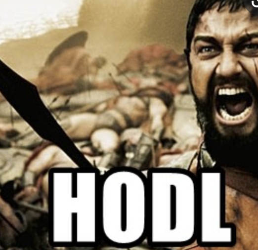 HODL Here
